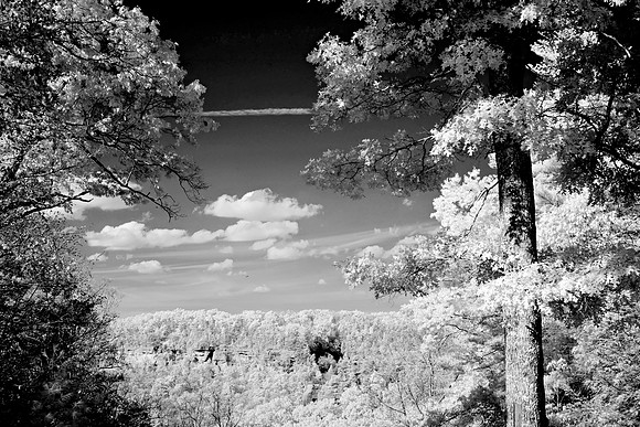 _JRP9917_Radiant