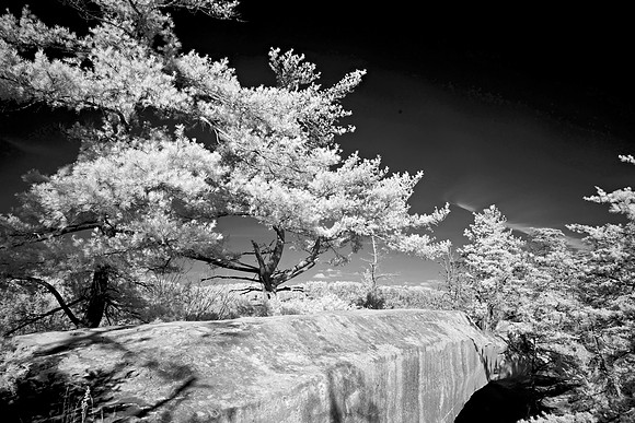 _JRP9984_Radiant