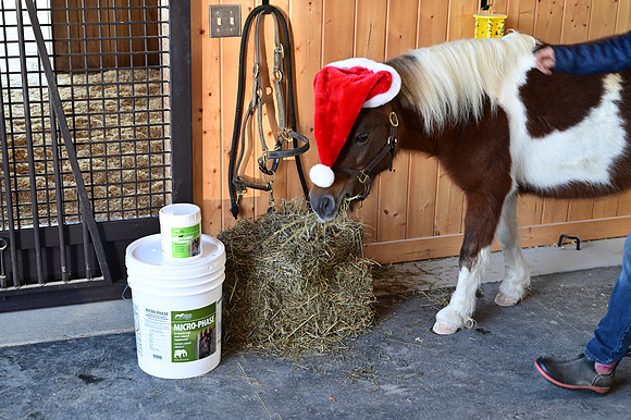 JRP_6548