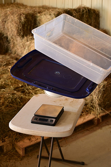 JRP_6583