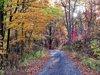 Fall_Kingdom_Come3698