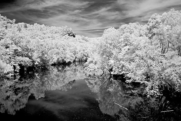 _JRP2655_Radiant