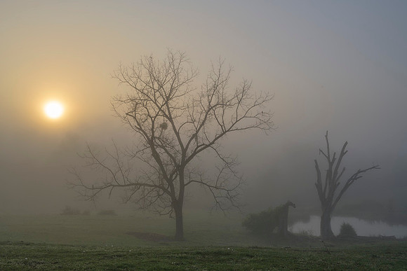 Sunrise_Estill-8146w