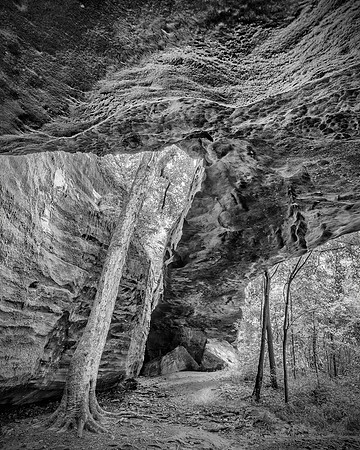 Mantle_Rock5416-8x10