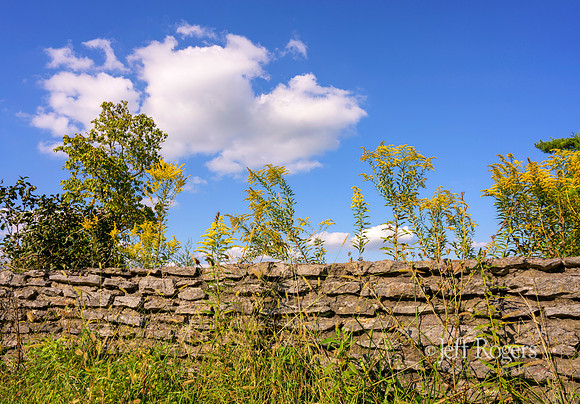 Rock_wall-0305