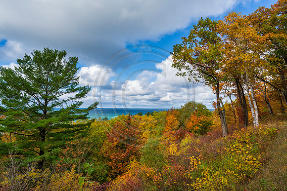 Michigan-0572