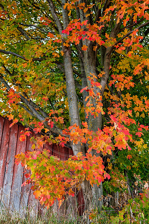 Michigan-0774