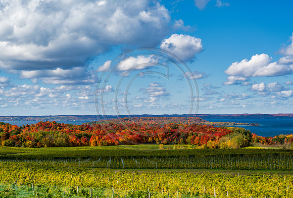 Michigan-0814