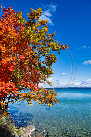 Michigan-0866