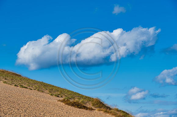 Michigan-0940