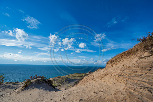 Michigan-0999