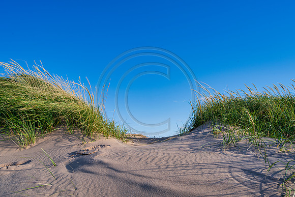 Michigan-1013