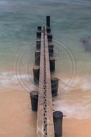 Michigan-1059