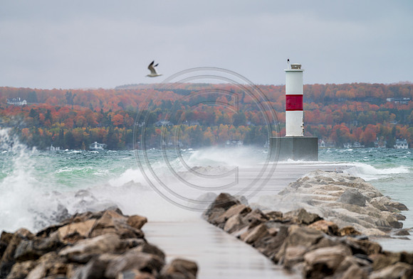 Michigan-5010