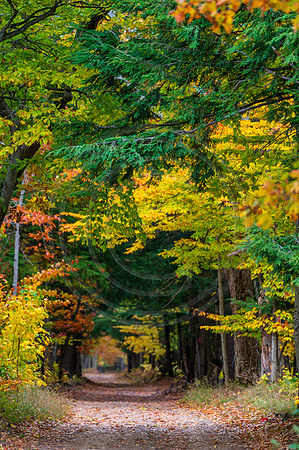 Michigan-5026