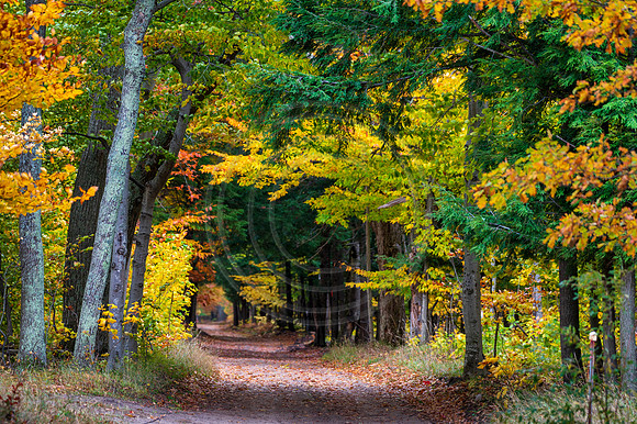 Michigan-5045
