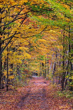Michigan-5054
