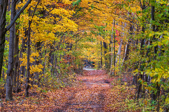 Michigan-5064