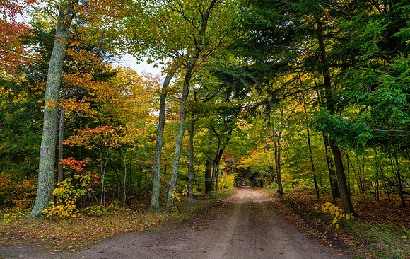 Michigan-0590._30jpg