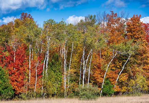Michigan-0885_30