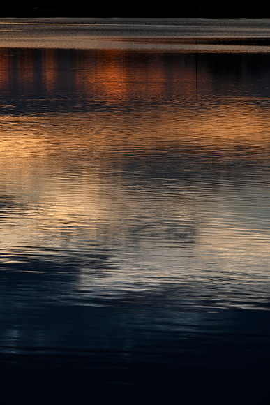 _JRP3394