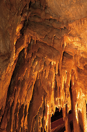 Mammoth_Niagara2