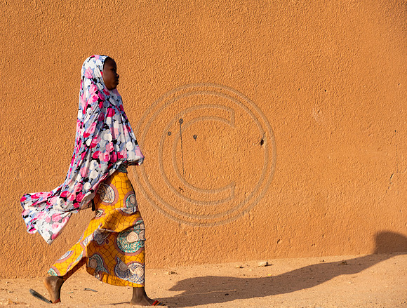 Niger-6688full