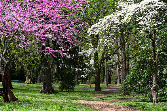 _JRP7350