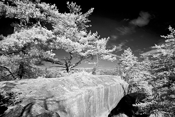 _JRP9946_Radiant