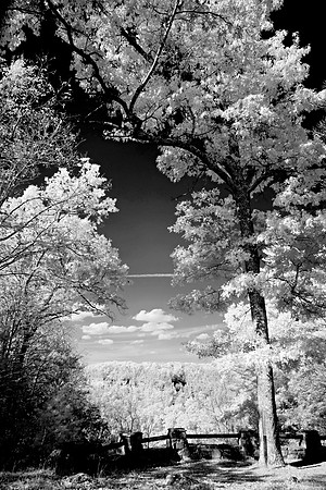 _JRP9920_Radiant