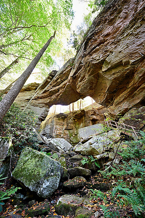 _JRP8044_Radiant