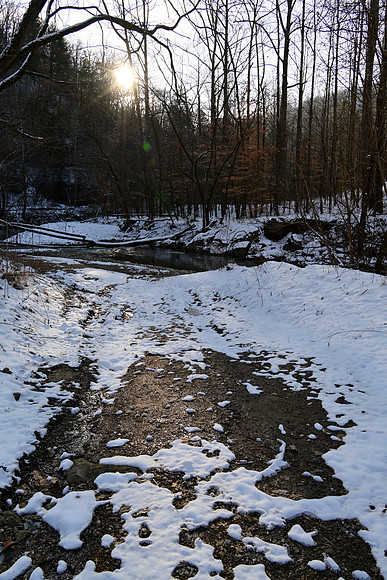_JRP5241