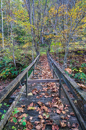Fall_E_KY-2922