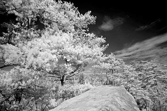 _JRP9936_Radiant