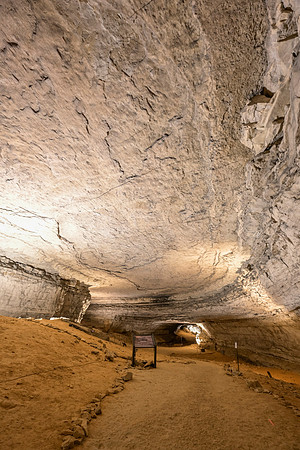 Mammoth+Cave-9821