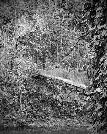 Fall_E_KY-2460_8x10bw