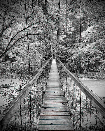 Gorge_SwingBridge_1219725_8x10bw