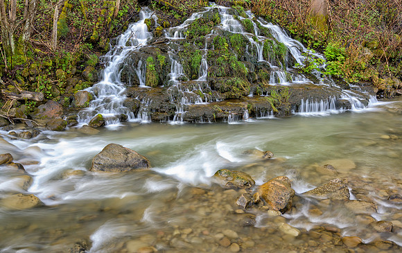 KY-Streams_Lynch6965
