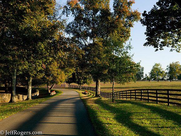 Horses-1220700