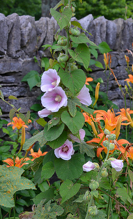 JRP_6837_crop