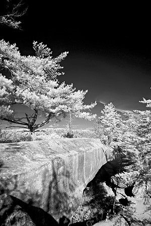 _JRP9988_Radiant