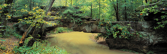 Gorge_RockBridge