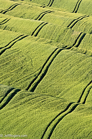 Tuscany--37