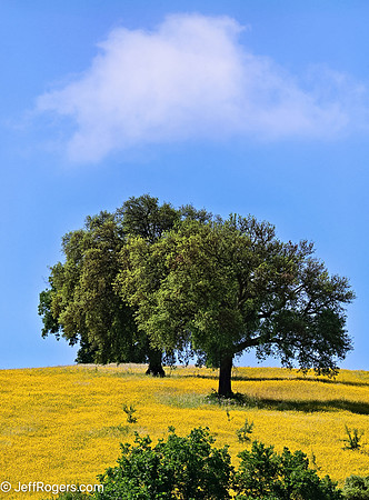 Tuscany--48