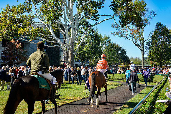 Keeneland_Paddock3580w