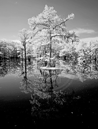 _JRP9161_Radiant