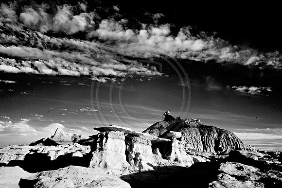 _JRP8978_Radiant