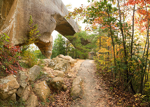 Untitled_Panorama1_w