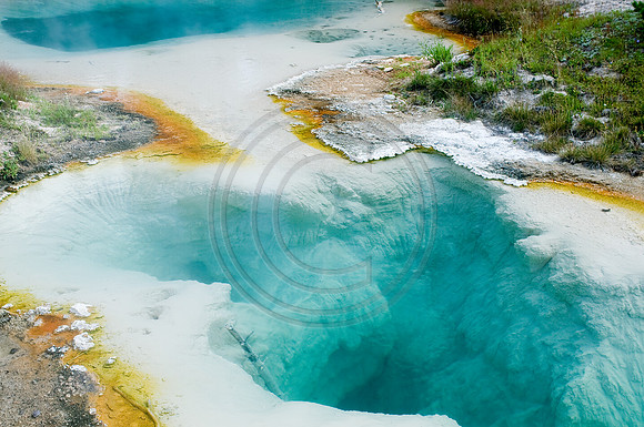 Yellowstone-6258