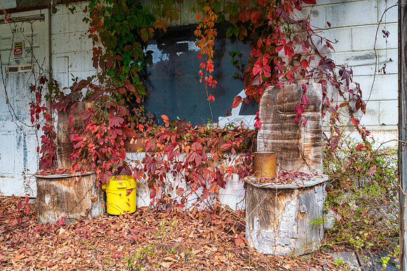 Fall_E_KY-2829